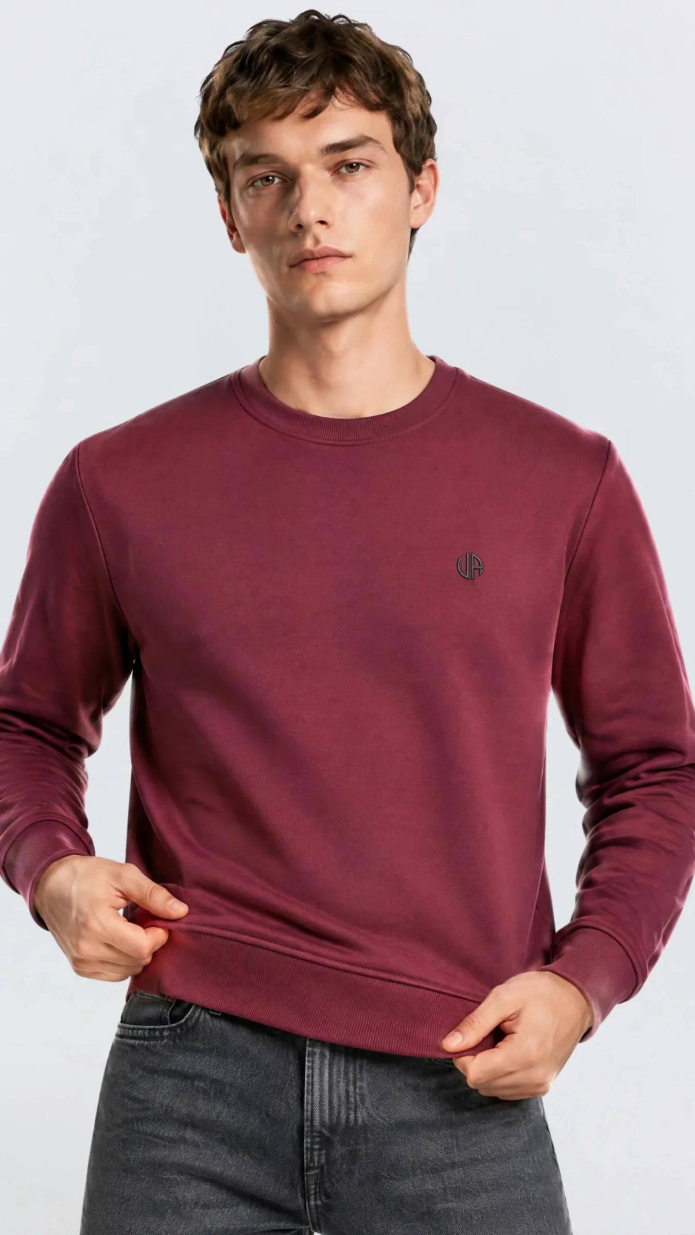 Premium Erkek Doubleface Bisiklet Yaka Sweatshirt Varelli