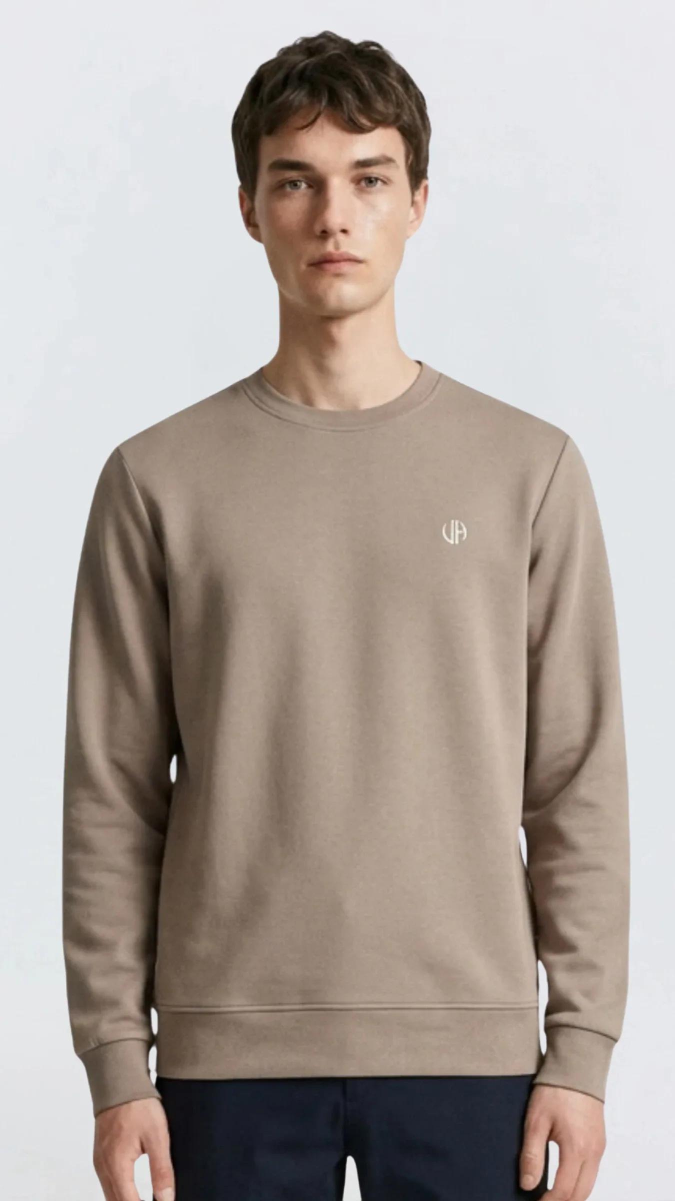 Premium Erkek Doubleface Bisiklet Yaka Sweatshirt Varelli - Kahve