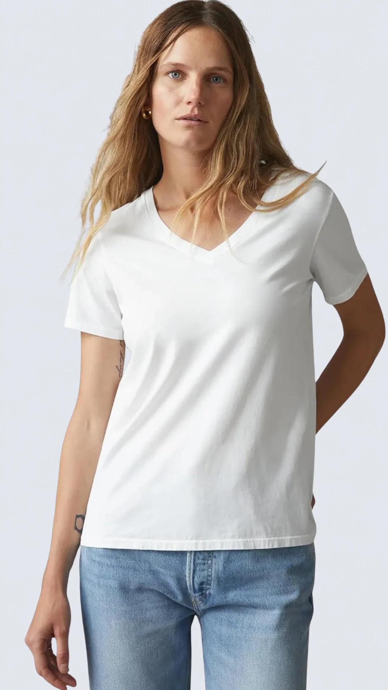 3'lü Kutu Premium Kadın V Yaka Tee T-shirt Rosie
